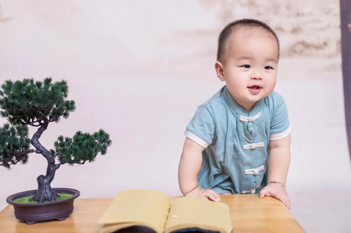 山西可爱的企鹅宝宝